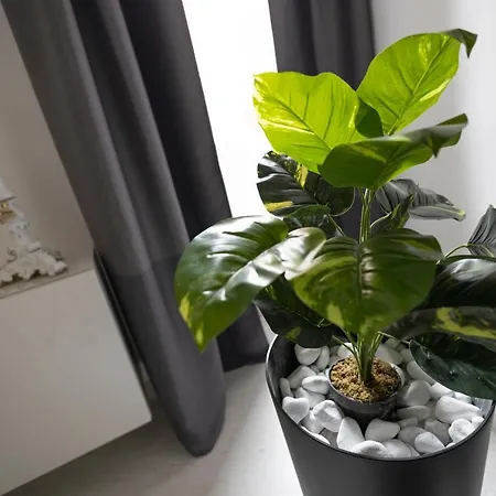 Apartman Babuino Luxury Design